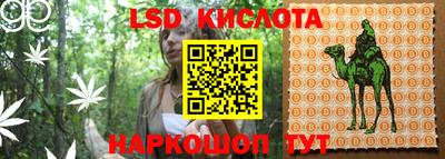 ПСИЛОЦИБИНОВЫЕ ГРИБЫ Апрелевка