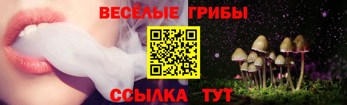 Баксан  Псилоцибиновые грибы Cubensis  Псилоцибиновые грибы Cubensis  Вход с VPN 